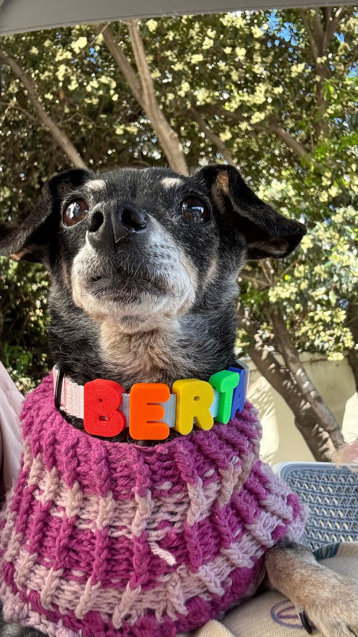Collar Arcoiris 🌈 - Edicion limitada