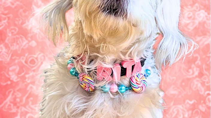 Collar Candy Pop 🍭