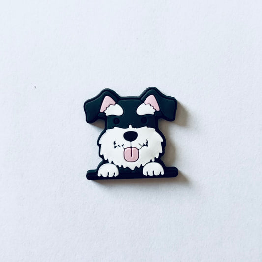 Charm Schnauzer